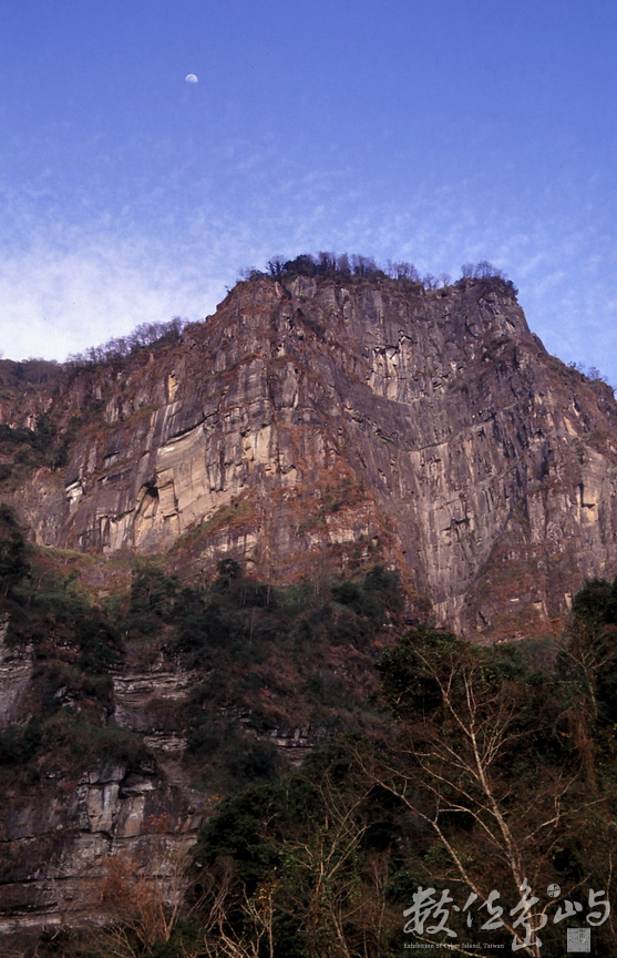 小塔山系---阿里山來吉村---20040301---賴鵬智攝