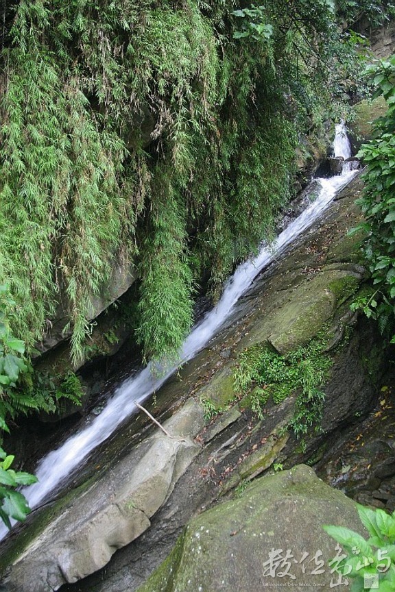 嘉義縣阿里山鄉樂野雅吾瑪斯步道溪谷急流-直-縮小檔-20060901-賴鵬智攝