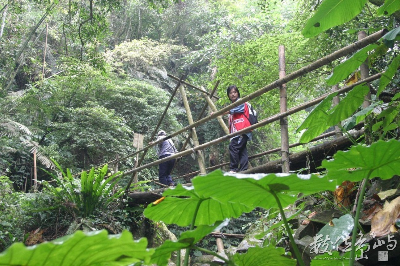嘉義縣阿里山鄉達邦村達德安步道生態之旅-生態工法竹橋-縮小檔---20051113---