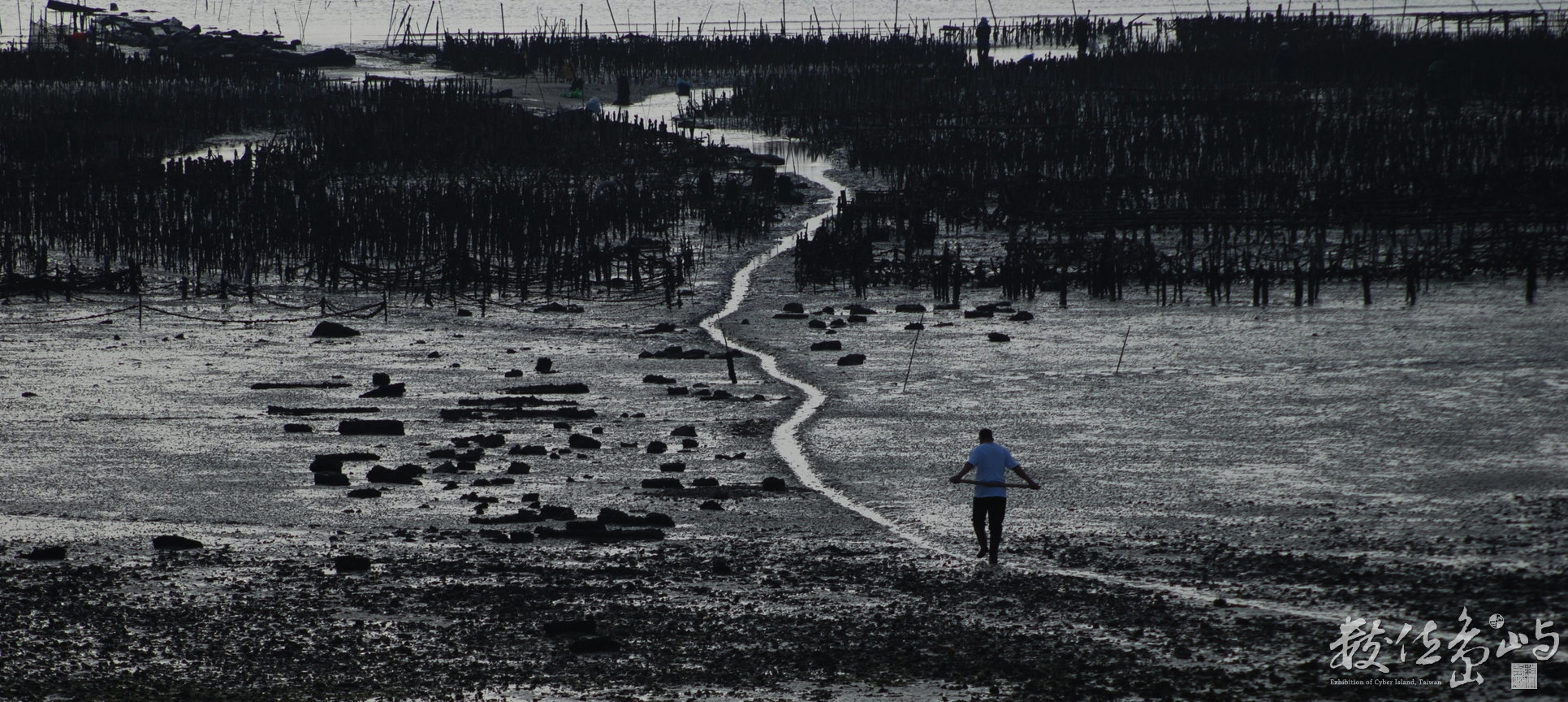 蚵路<BR>圖．文/陳旺展