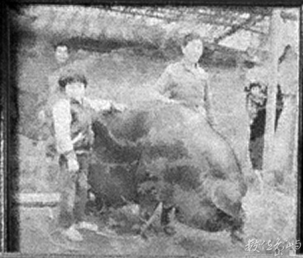 竹南大埔穎川堂陳屋˙百歲婆現身