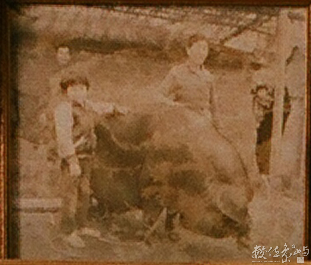 竹南大埔穎川堂陳屋˙百歲婆現身