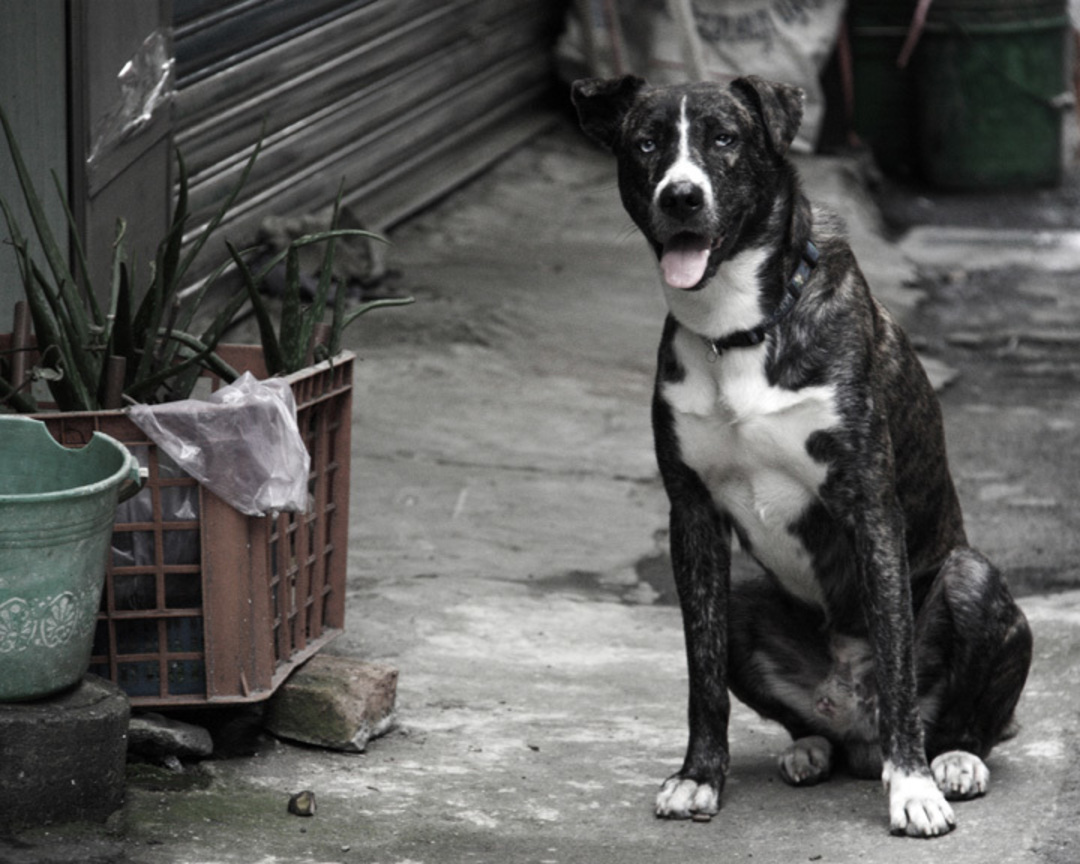 「憶眷」─ 守候。