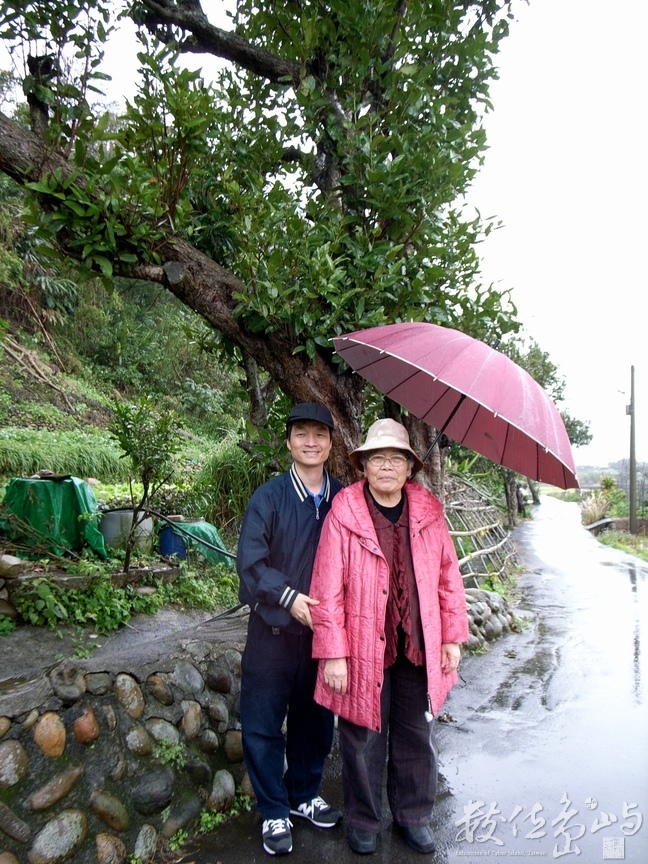 關西坪林˙蓮霧樹下