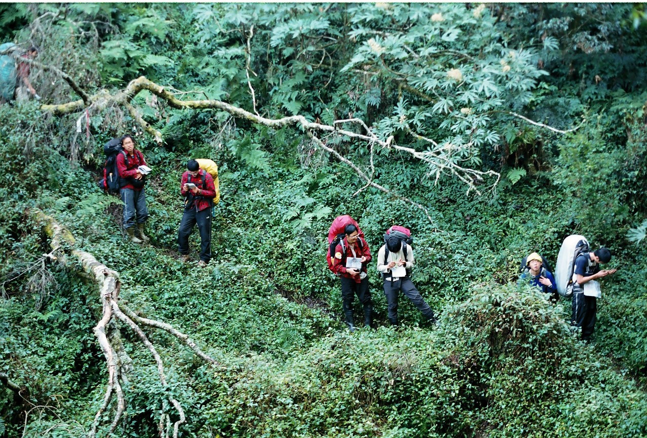 學生登山隊伍的組成