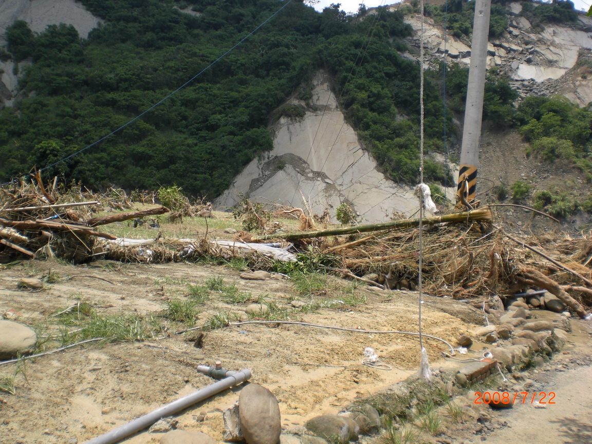 外婆家的芒果園