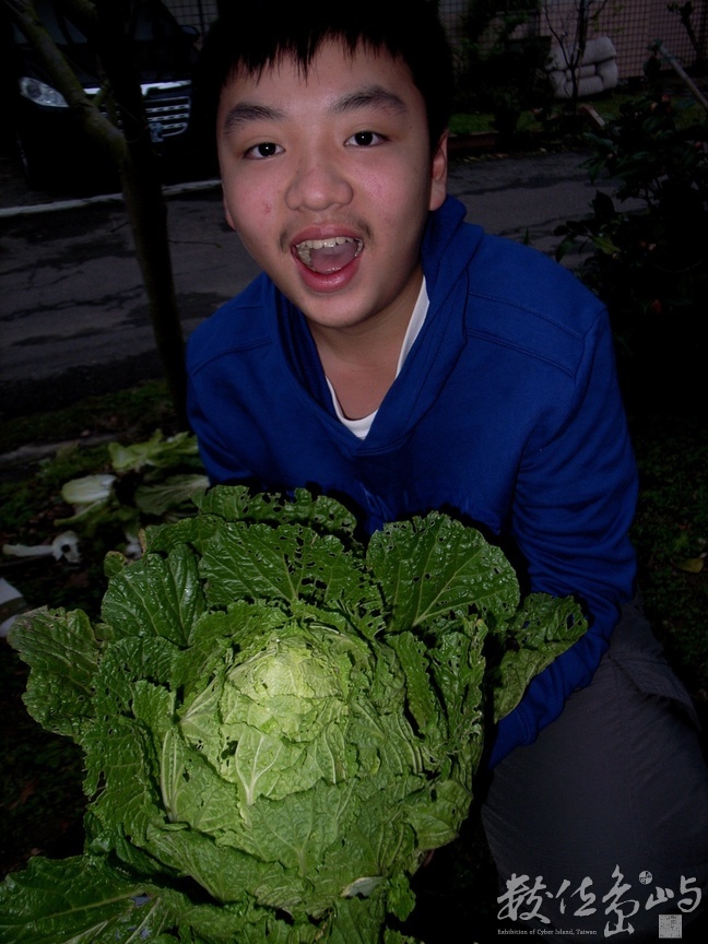 車庫菜園˙香山