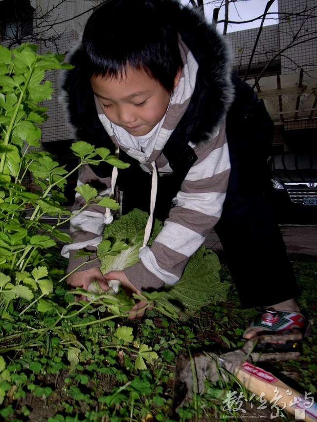 車庫菜園˙香山