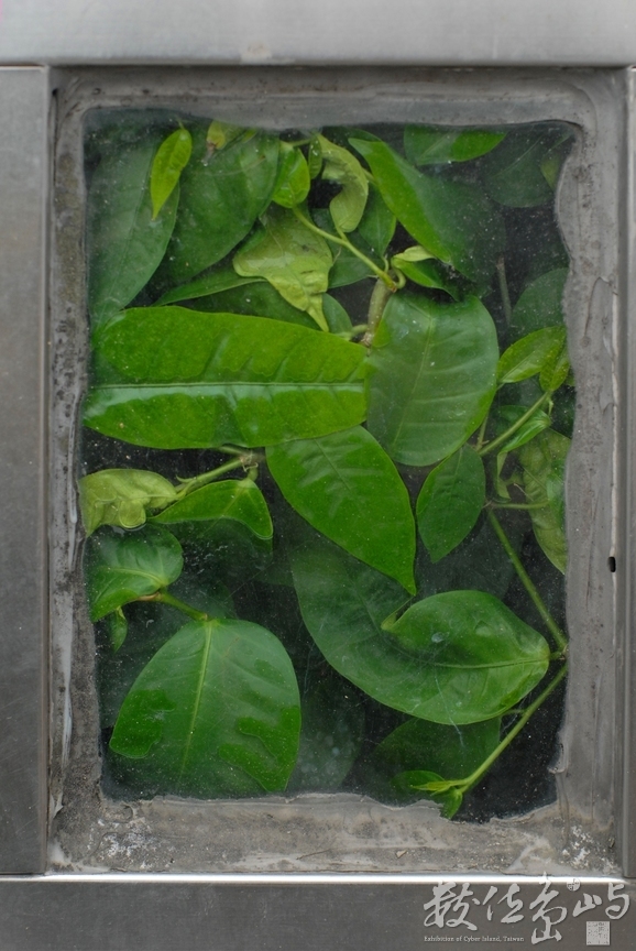 就是要生存˙台北孔廟