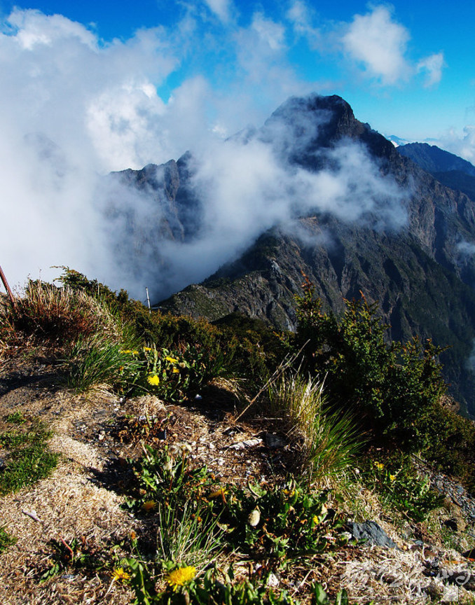 玉山主峰的湧雲