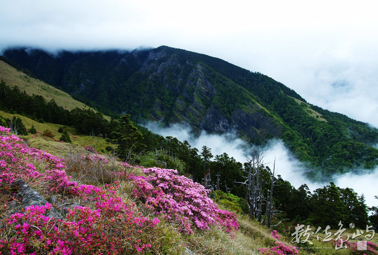 山嵐、湧雲、花海