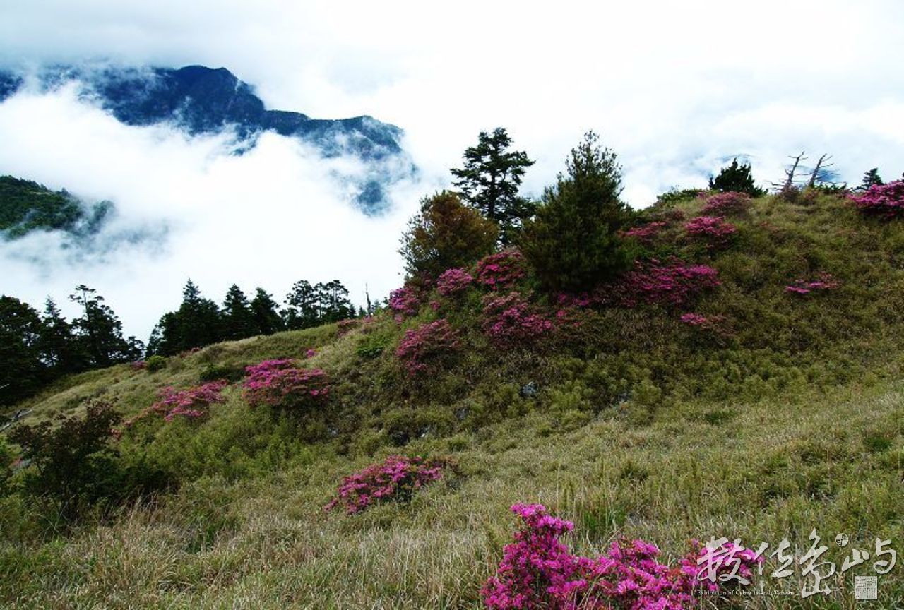 雨後的雪山湧雲