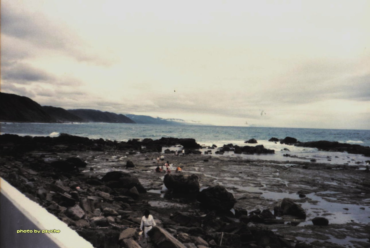 旭海草原旁公路