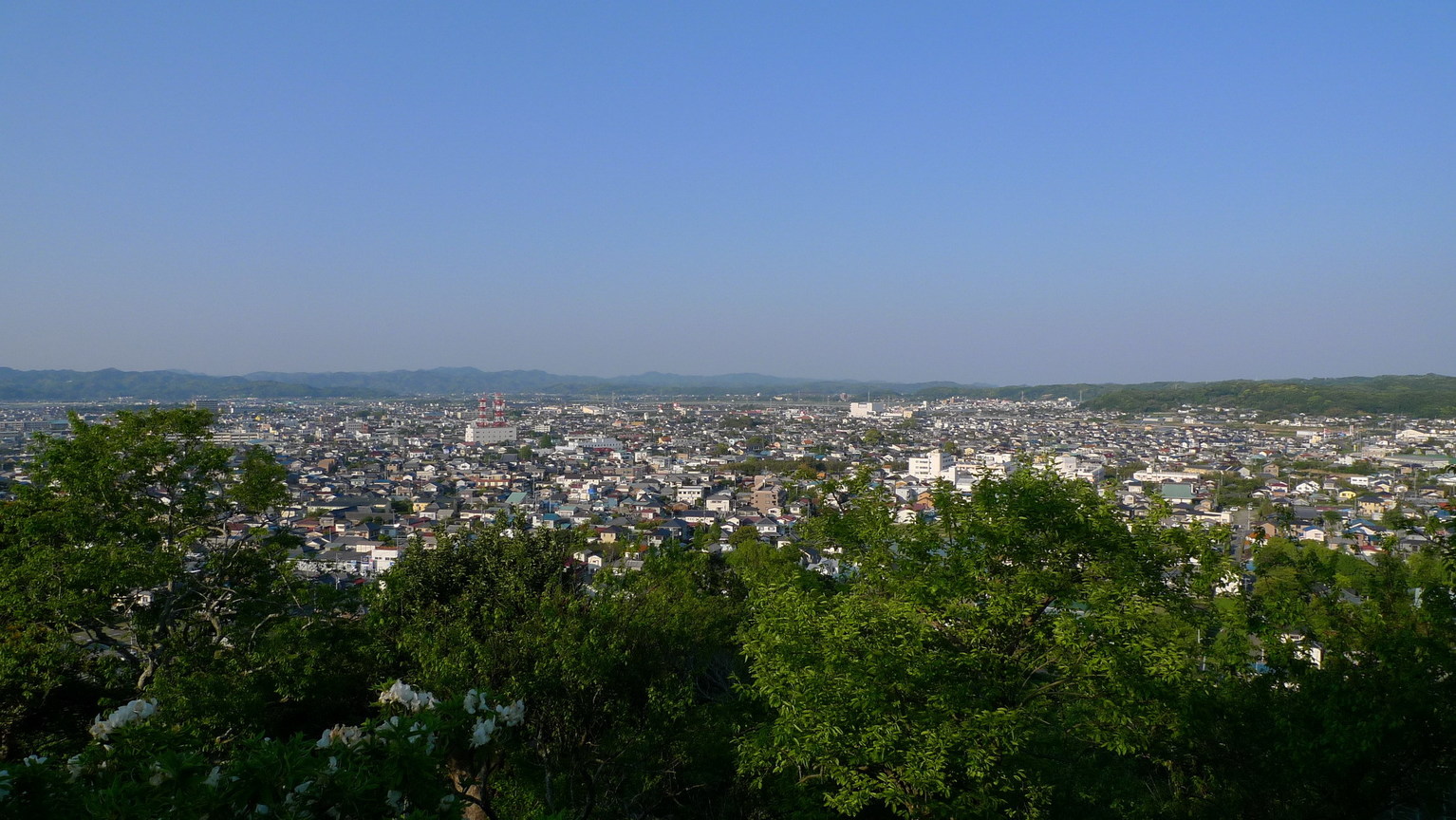 P1020739_大小