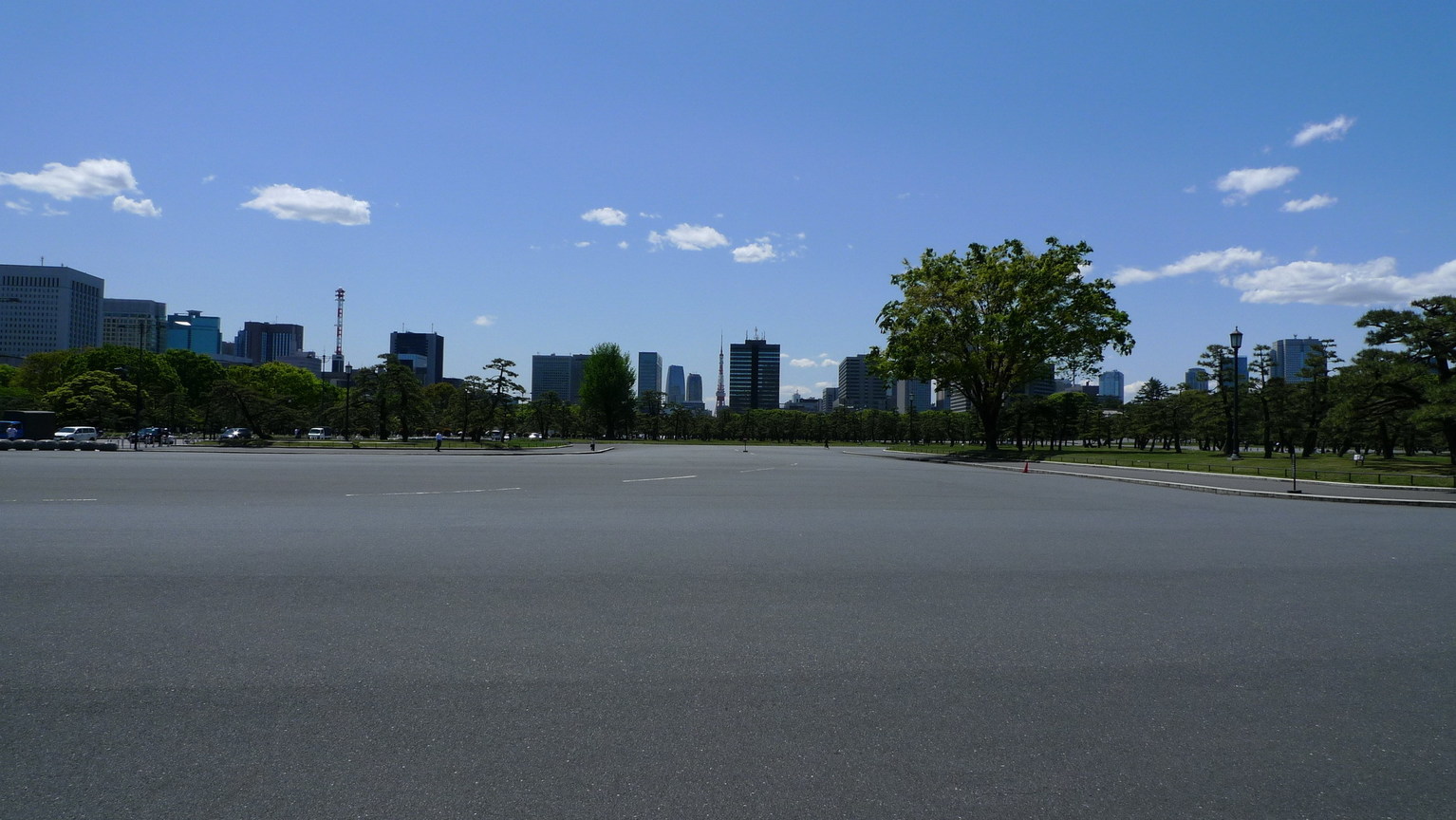 P1020699_大小