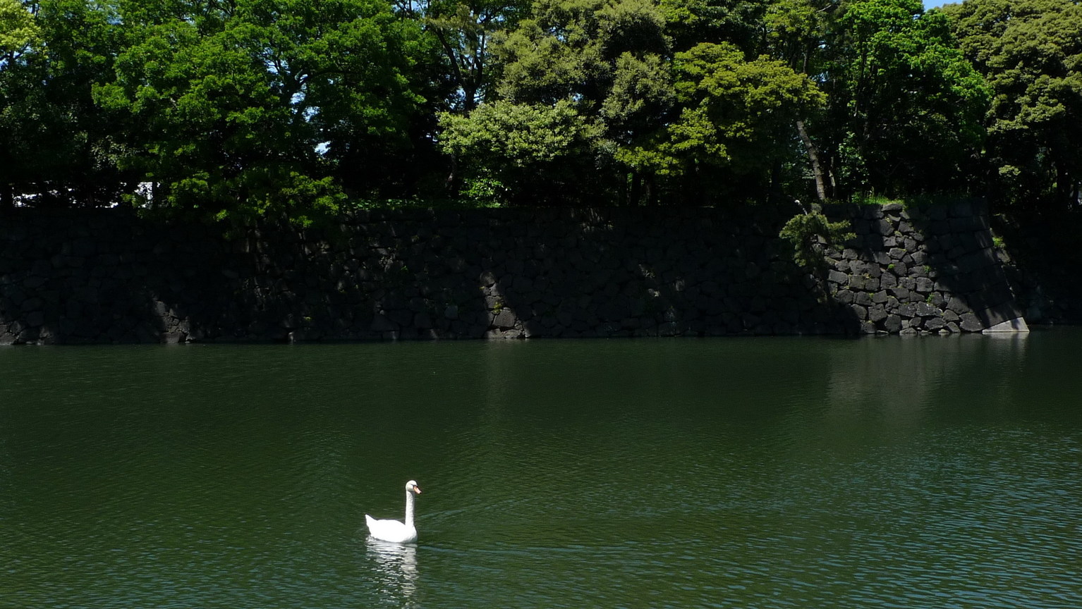 P1020702_大小