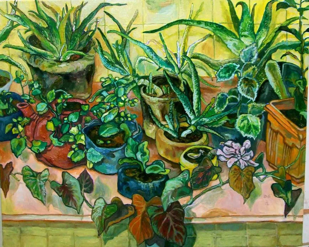 植物-1