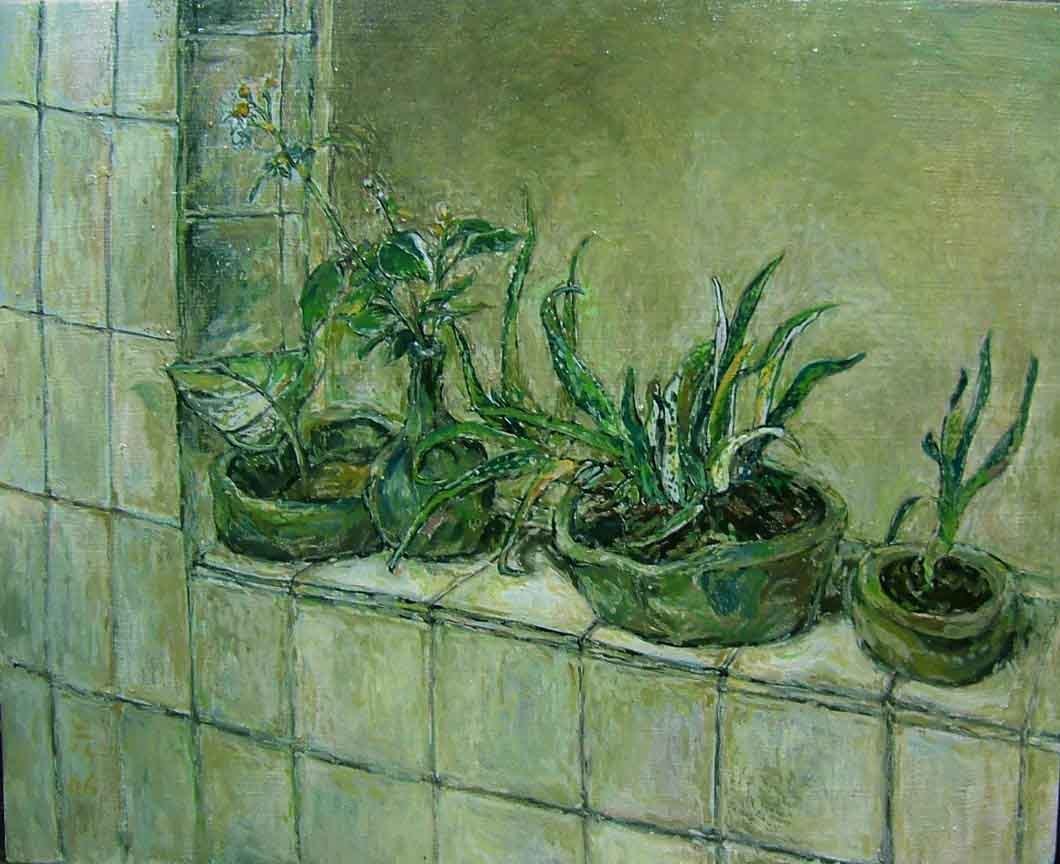 植物