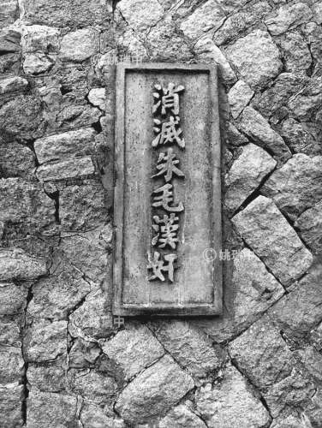 31 拷貝