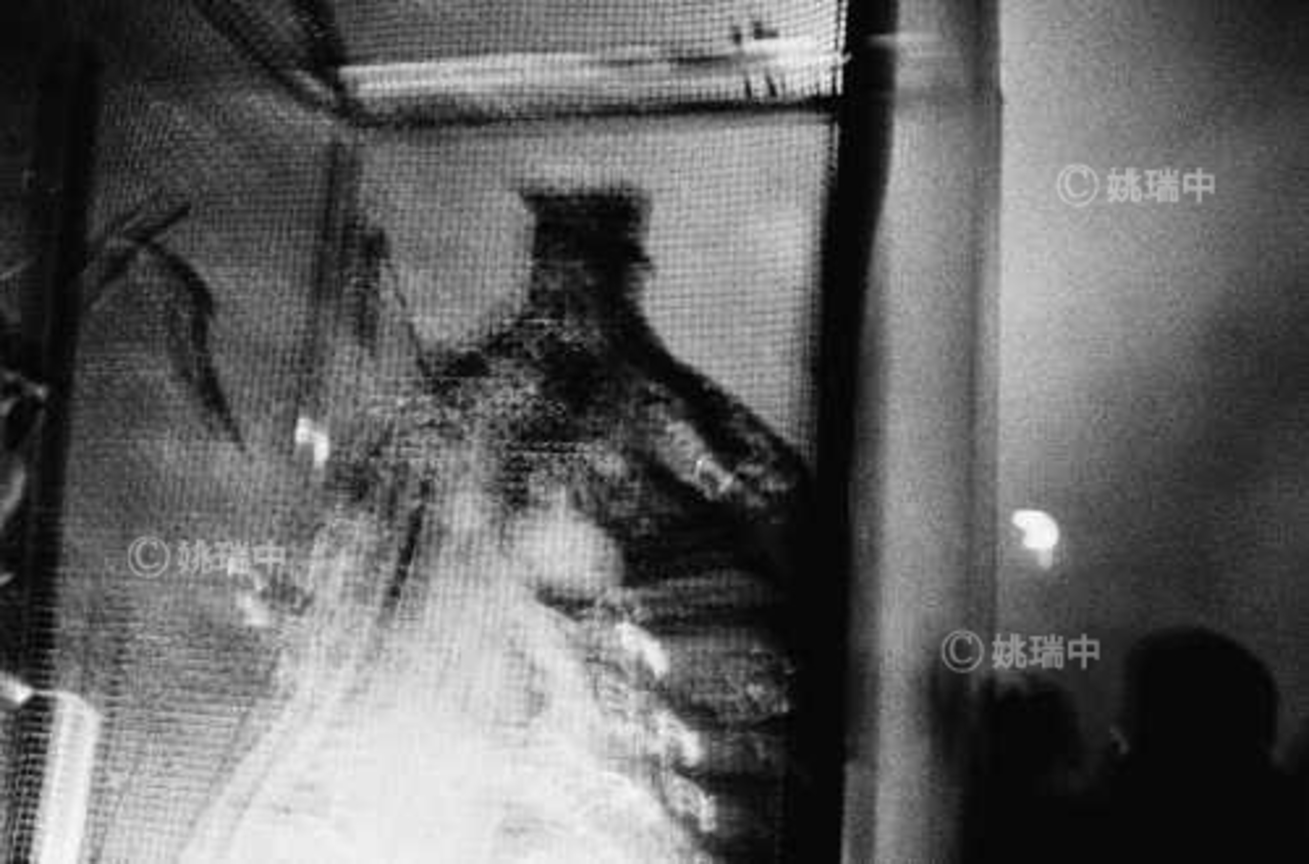 062 拷貝