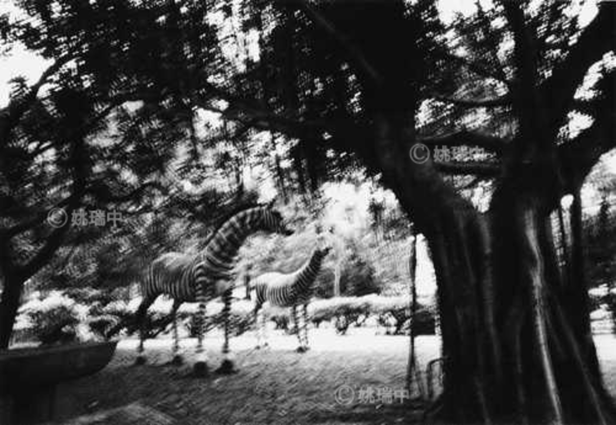 015 拷貝