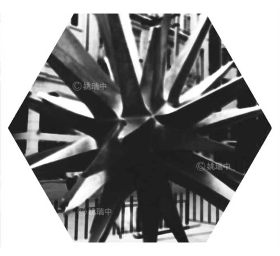 096 拷貝