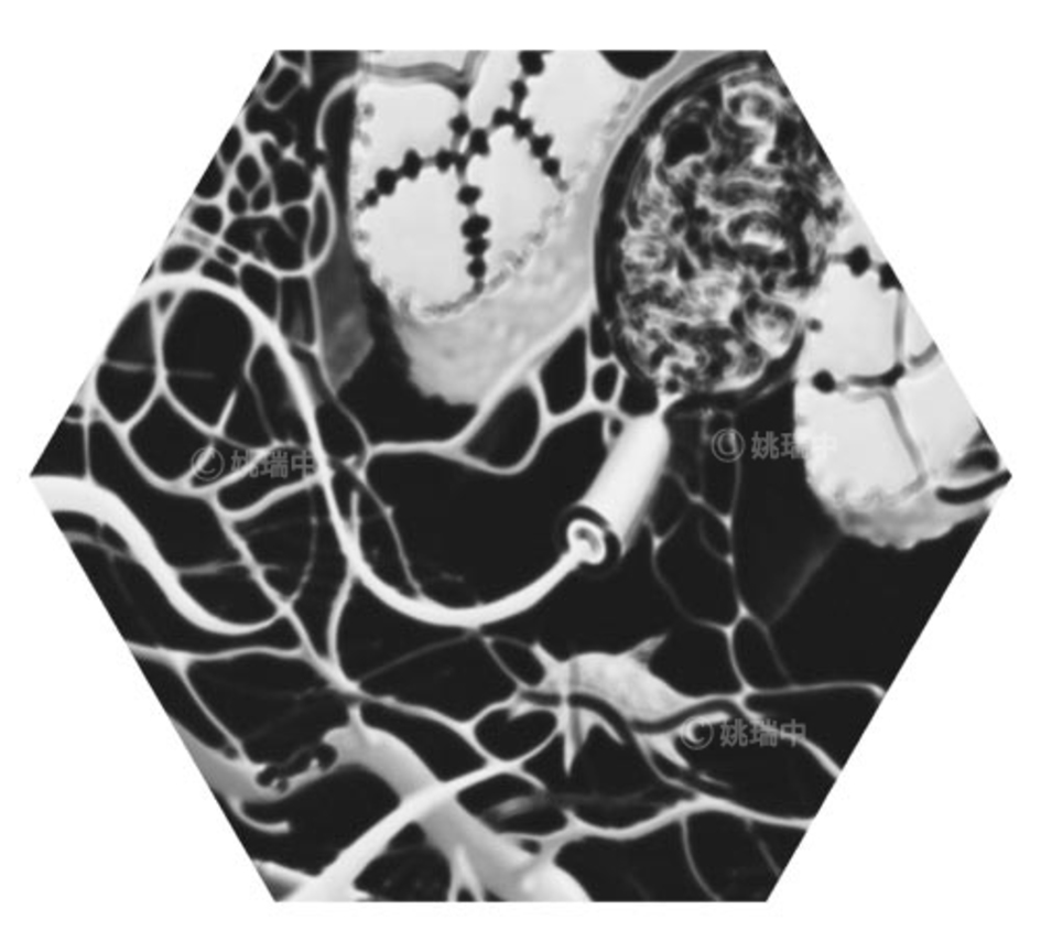 099 拷貝