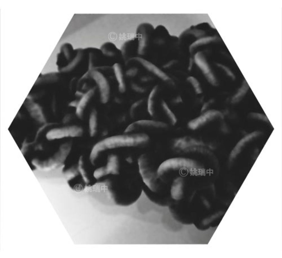 105 拷貝