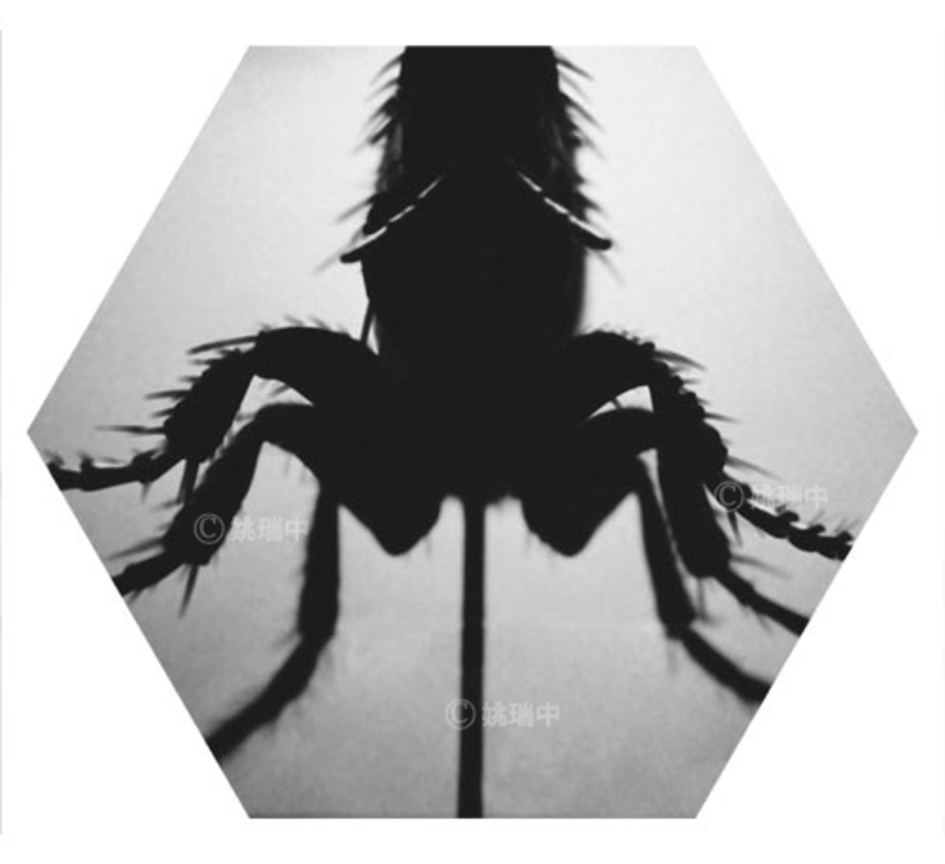 014 拷貝