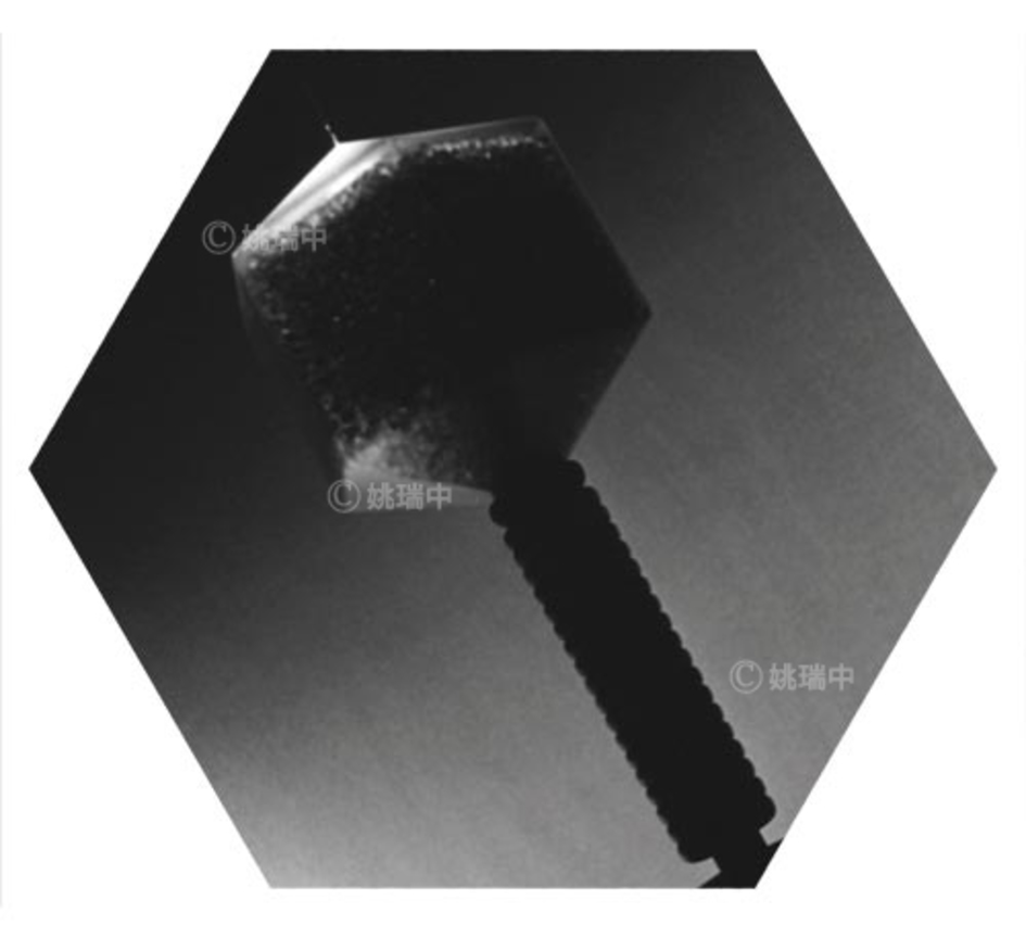 010 拷貝