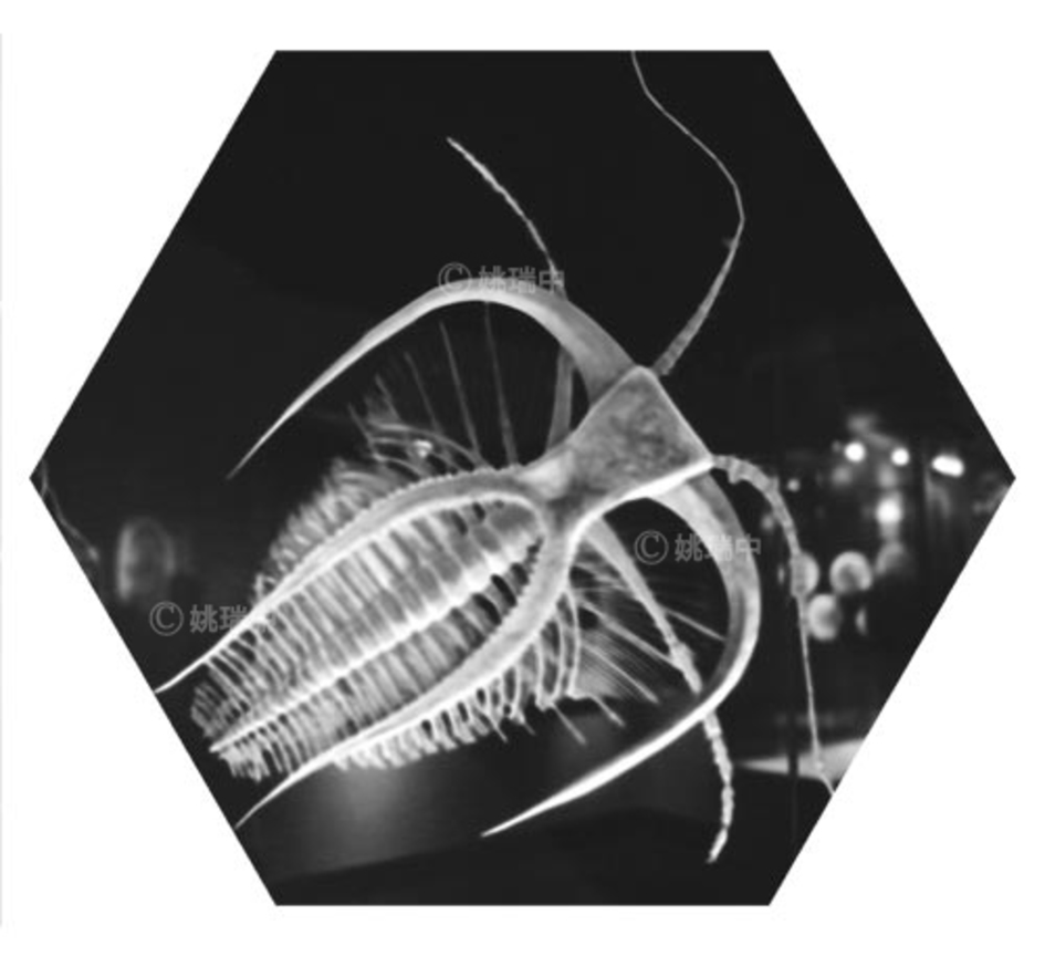 013 拷貝