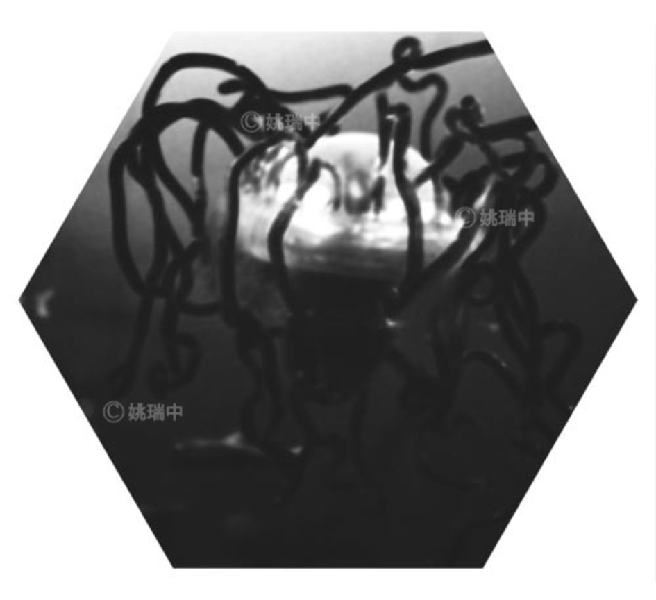 011 拷貝