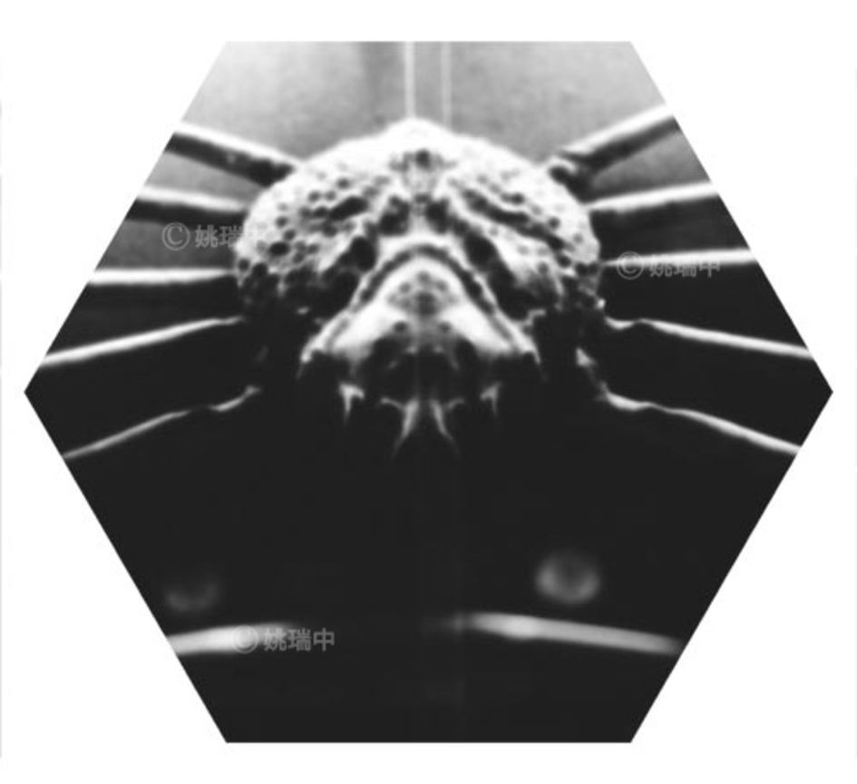 021 拷貝