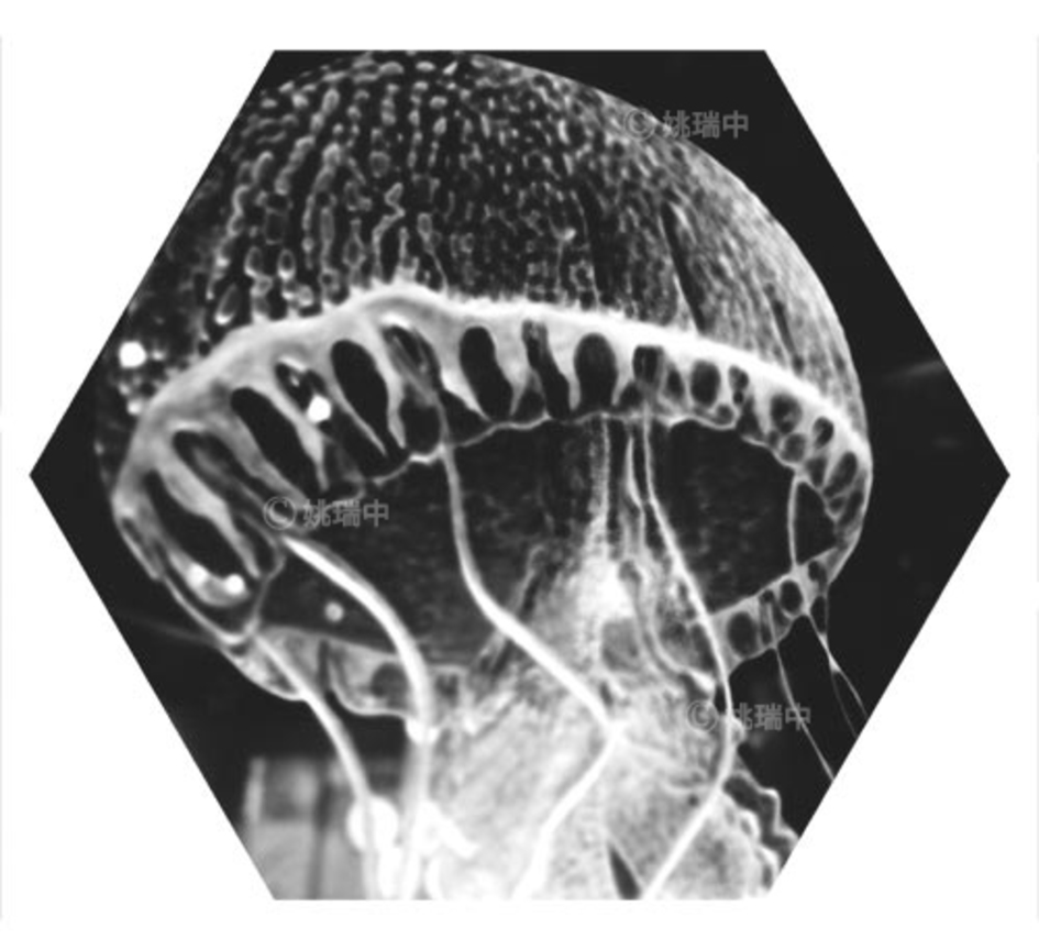 025 拷貝