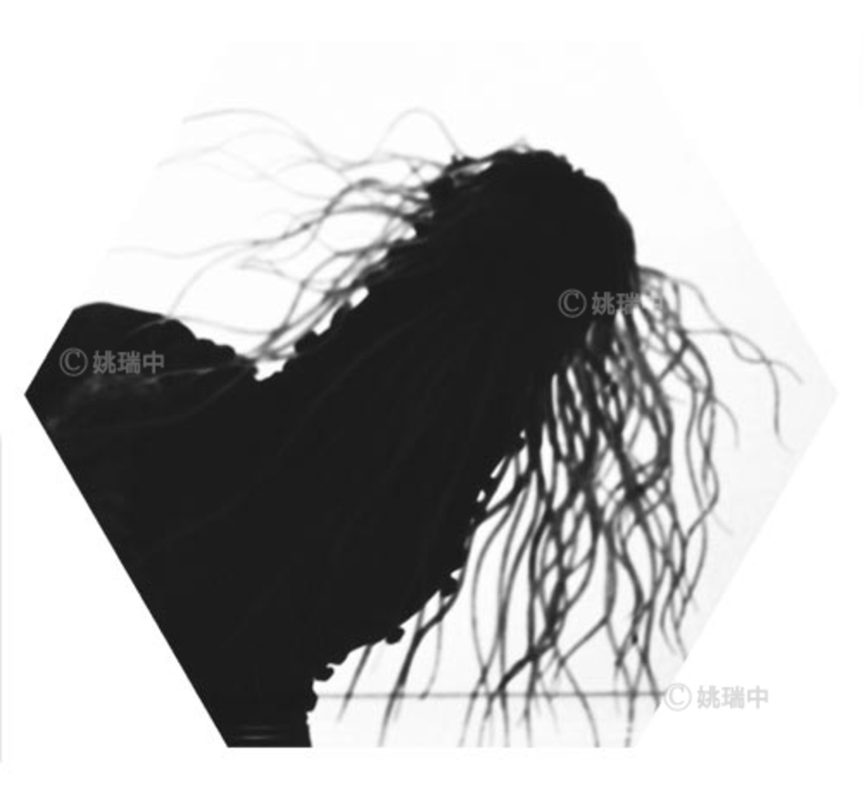 009 拷貝