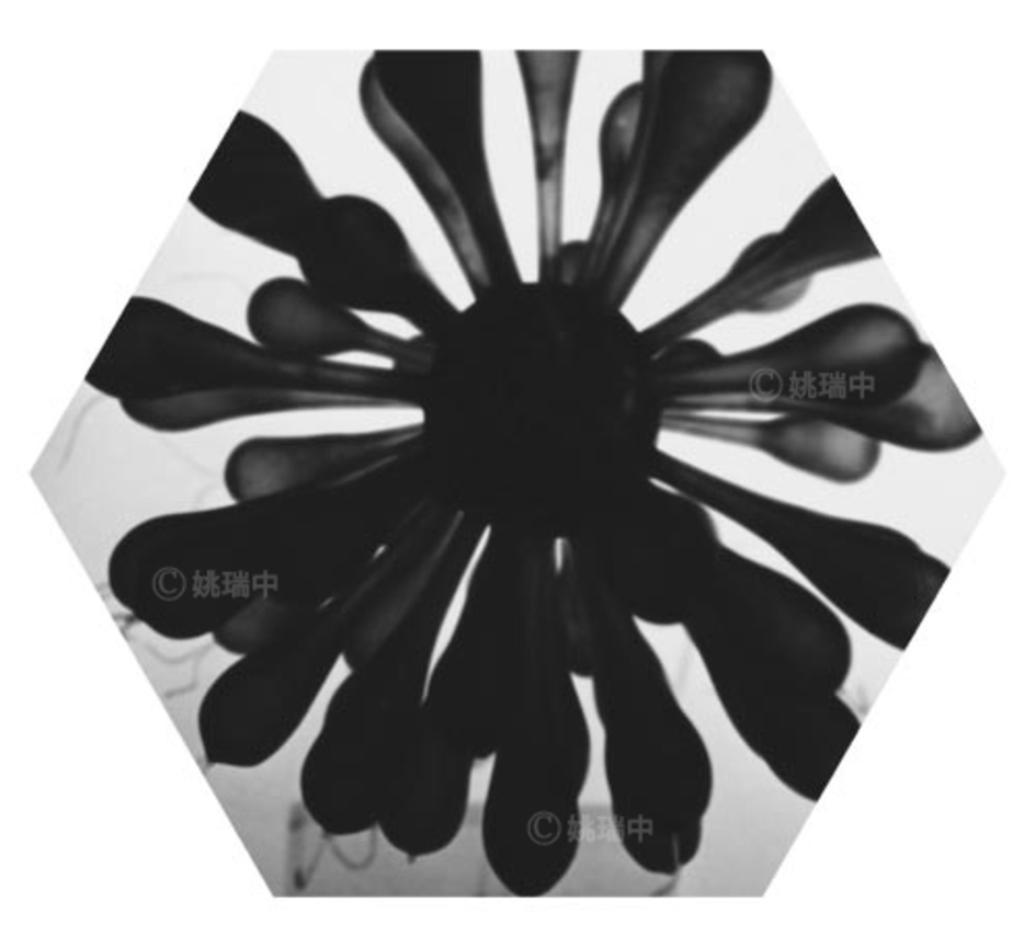 008 拷貝
