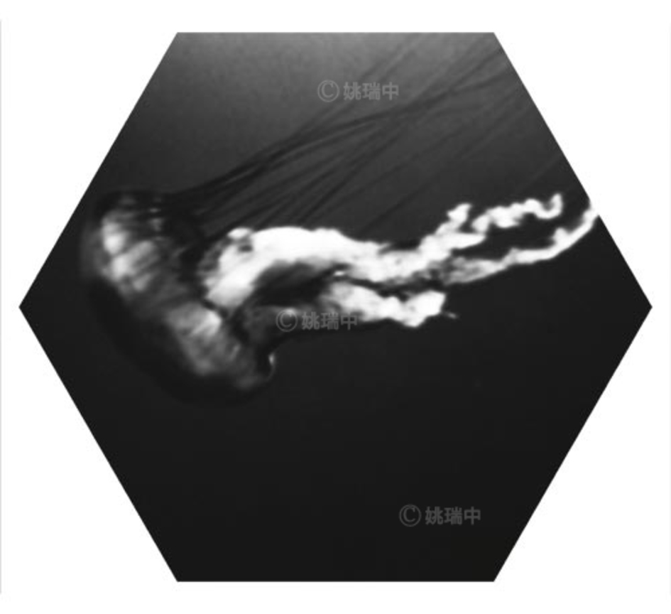 006 拷貝