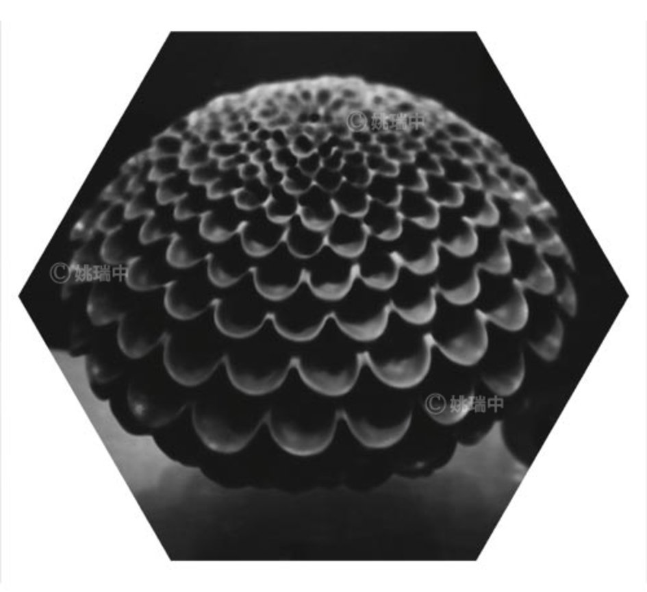 015 拷貝