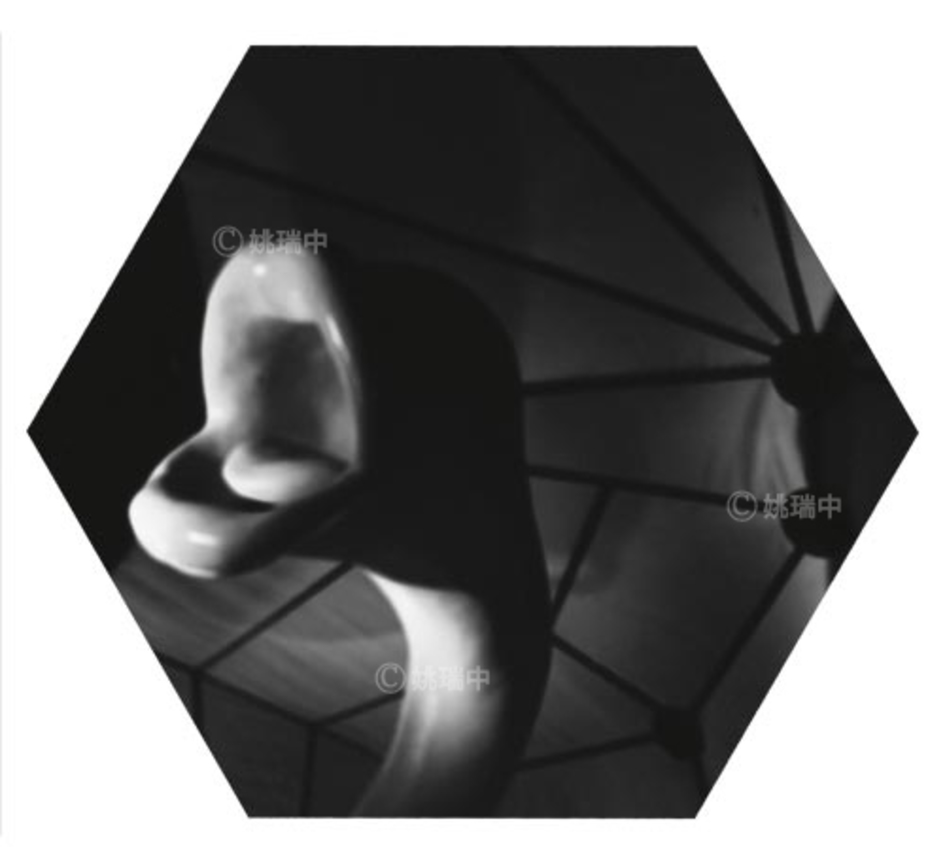 075 拷貝