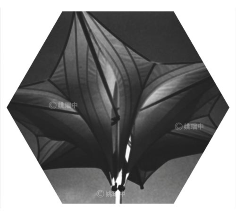 078 拷貝