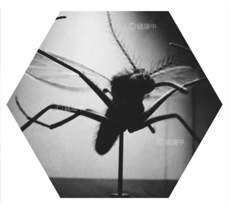 079 拷貝