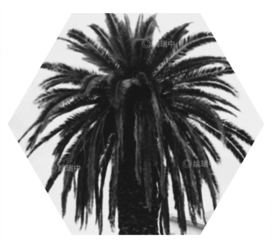 077 拷貝