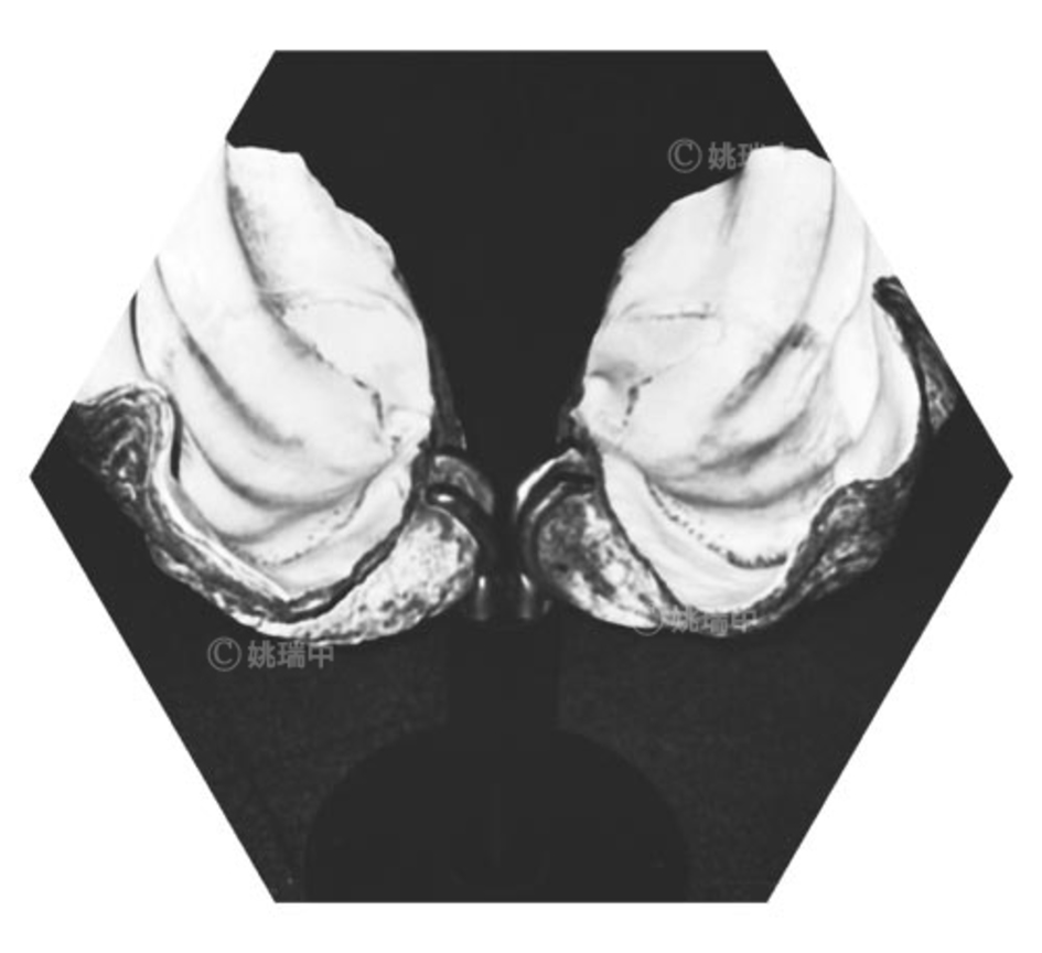 074 拷貝