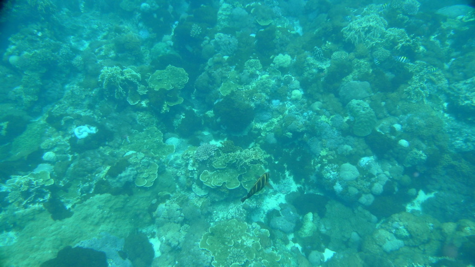 P1030421_大小