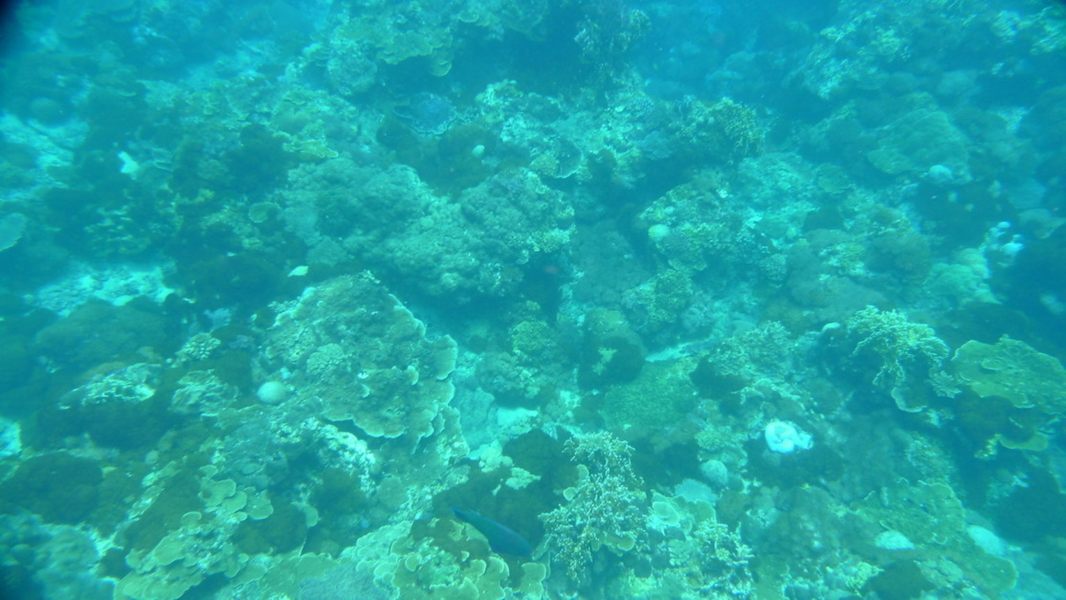 P1030422_大小