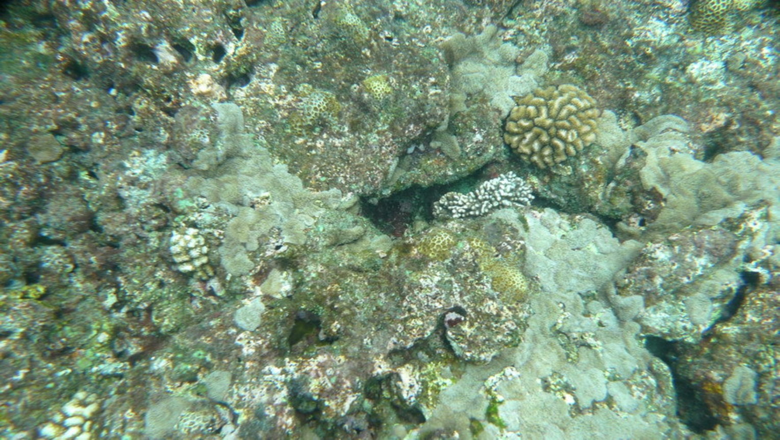 P1030435_大小