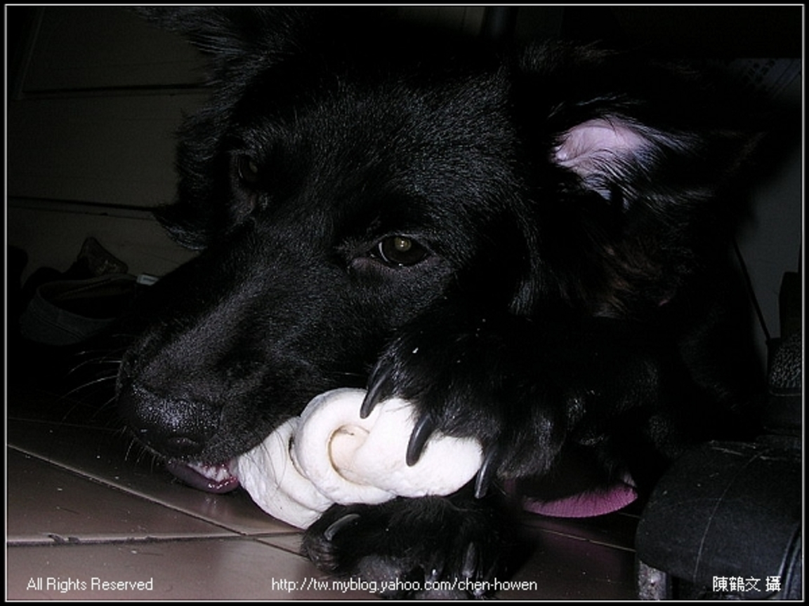 DSCN7562