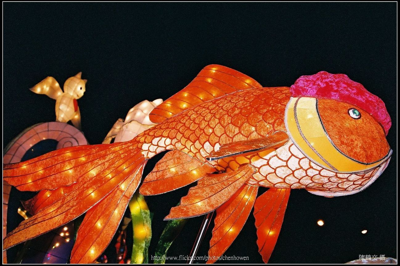 金魚