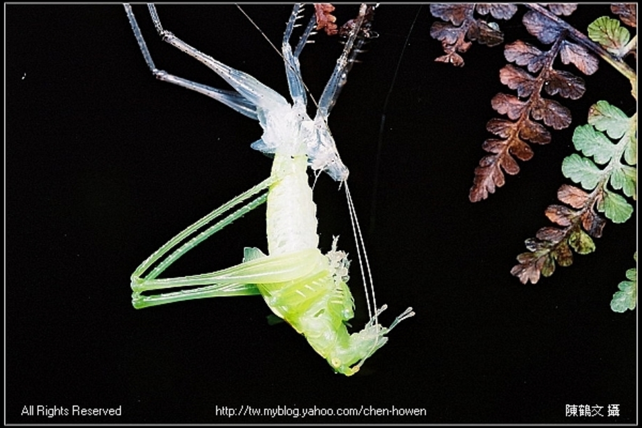 生命力的展現_02