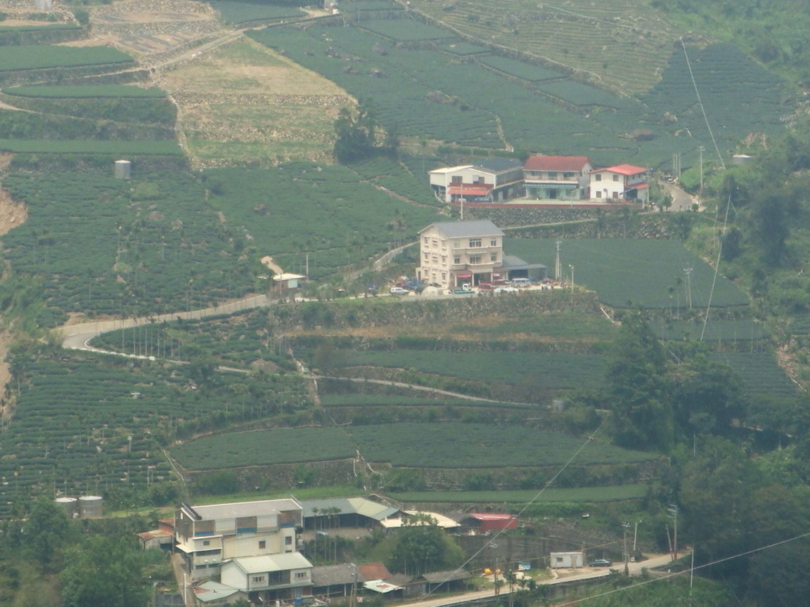 三層樓就是村長家